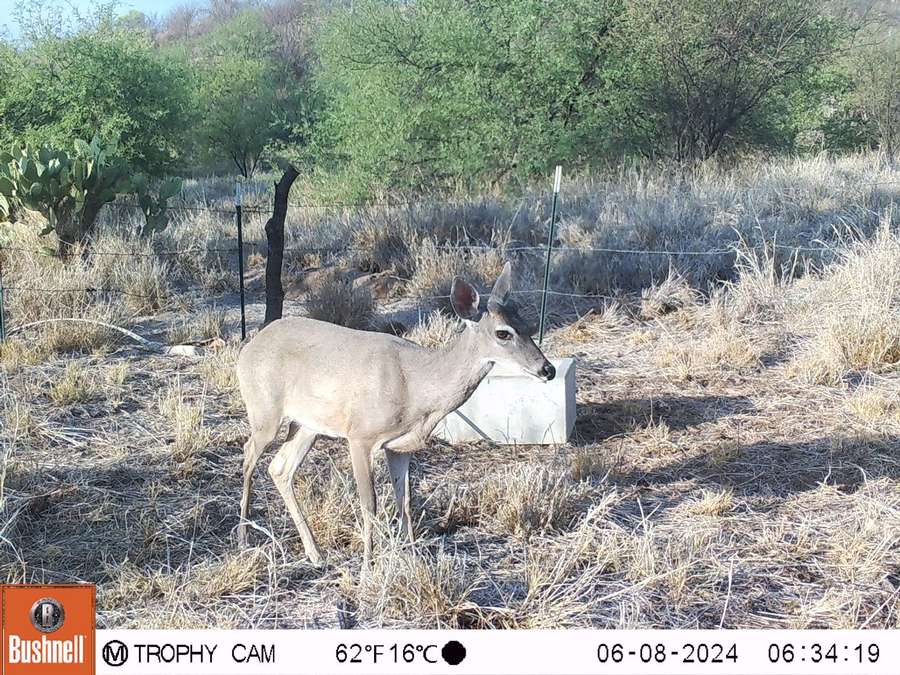 PHOTO-2024-06-10-15-00-54 3.jpg